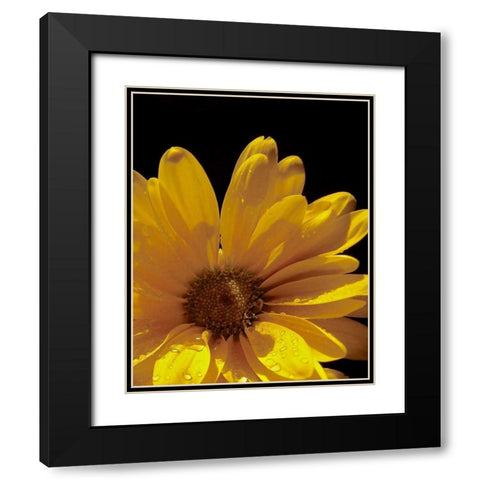 Sun Sparkled III Black Modern Wood Framed Art Print with Double Matting by Burkhart, Monika