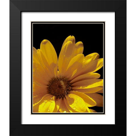 Sun Sparkled III Black Modern Wood Framed Art Print with Double Matting by Burkhart, Monika
