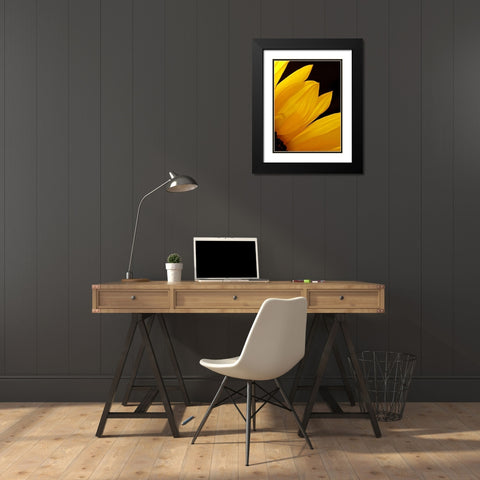 Sunflowers X Black Modern Wood Framed Art Print with Double Matting by Burkhart, Monika