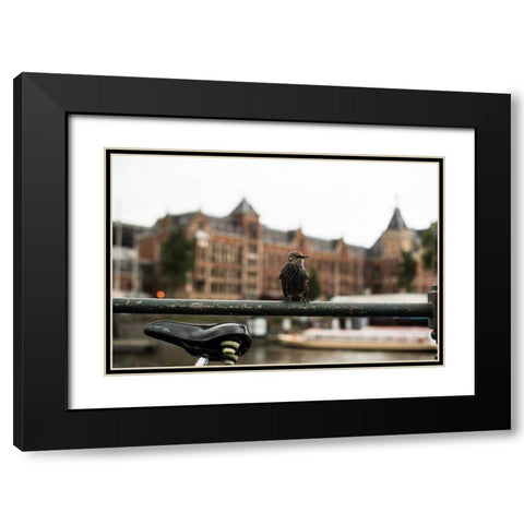 Perched I Black Modern Wood Framed Art Print with Double Matting by Berzel, Erin