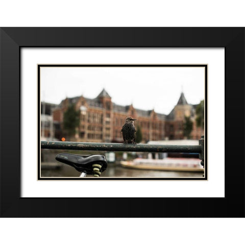 Perched I Black Modern Wood Framed Art Print with Double Matting by Berzel, Erin