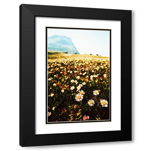 Mountain Summer I Black Modern Wood Framed Art Print with Double Matting by Berzel, Erin