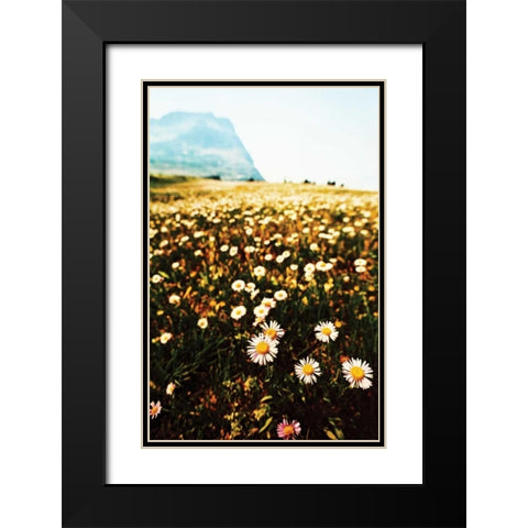Mountain Summer I Black Modern Wood Framed Art Print with Double Matting by Berzel, Erin