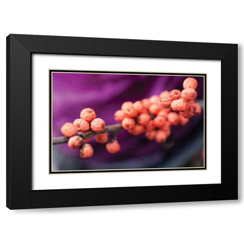 Wild Berries I Black Modern Wood Framed Art Print with Double Matting by Berzel, Erin