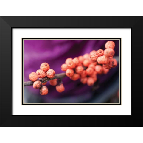 Wild Berries I Black Modern Wood Framed Art Print with Double Matting by Berzel, Erin