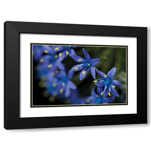 Purple Bloom Detail Black Modern Wood Framed Art Print with Double Matting by Berzel, Erin