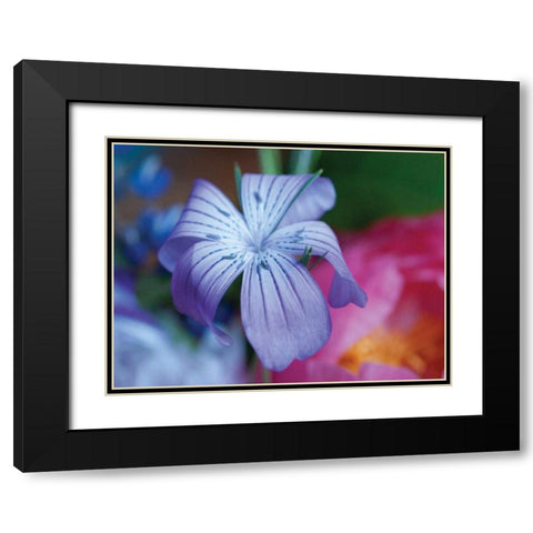 Delicate Flower I Black Modern Wood Framed Art Print with Double Matting by Berzel, Erin