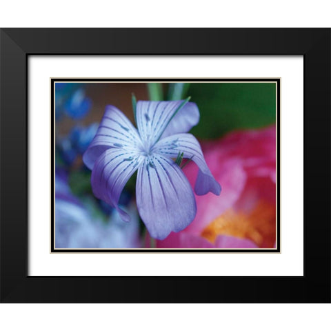 Delicate Flower I Black Modern Wood Framed Art Print with Double Matting by Berzel, Erin