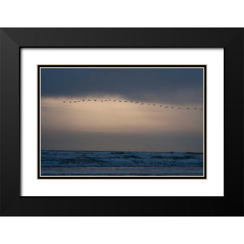 Oregon Coast Sunset II Black Modern Wood Framed Art Print with Double Matting by Berzel, Erin