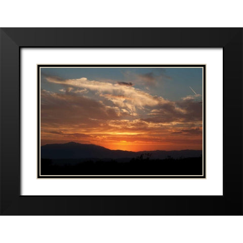 Sunset in Joshua Tree I Black Modern Wood Framed Art Print with Double Matting by Berzel, Erin
