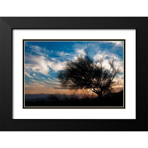 Sunset in Joshua Tree I Black Modern Wood Framed Art Print with Double Matting by Berzel, Erin