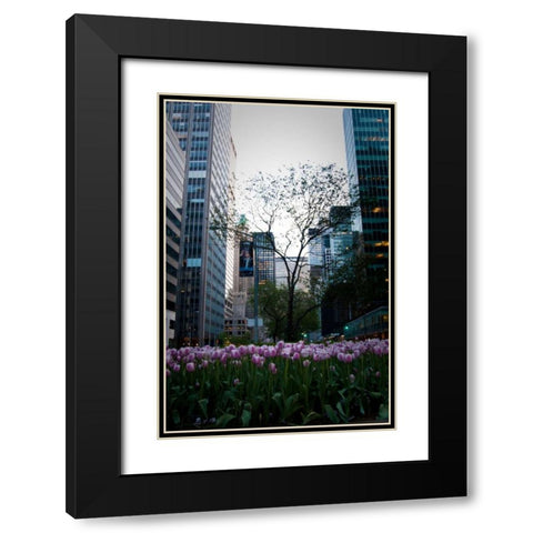 Tulips in Manhattan Black Modern Wood Framed Art Print with Double Matting by Berzel, Erin