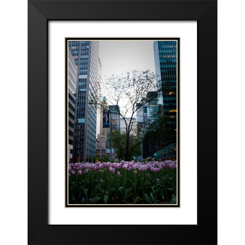 Tulips in Manhattan Black Modern Wood Framed Art Print with Double Matting by Berzel, Erin