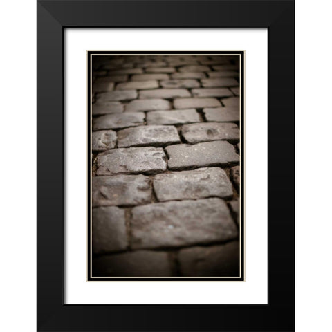 Stone Path IV Black Modern Wood Framed Art Print with Double Matting by Berzel, Erin