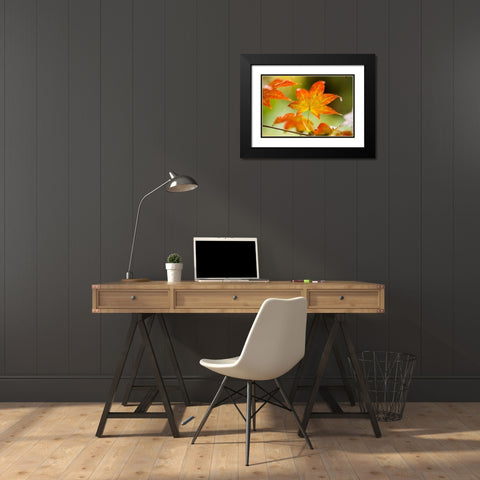 Fall Leaves III Black Modern Wood Framed Art Print with Double Matting by Berzel, Erin