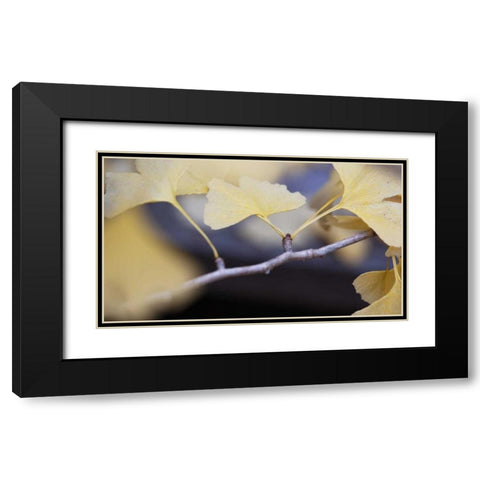 Autumn Gingko I Black Modern Wood Framed Art Print with Double Matting by Crane, Rita