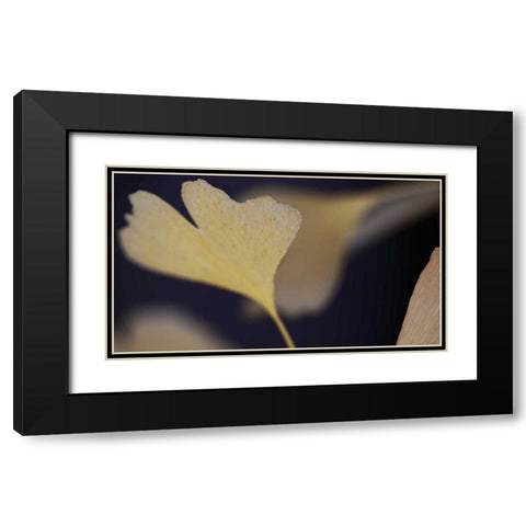 Autumn Gingko II Black Modern Wood Framed Art Print with Double Matting by Crane, Rita
