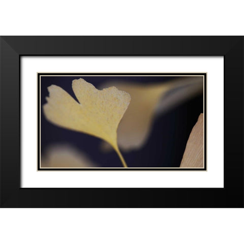 Autumn Gingko II Black Modern Wood Framed Art Print with Double Matting by Crane, Rita