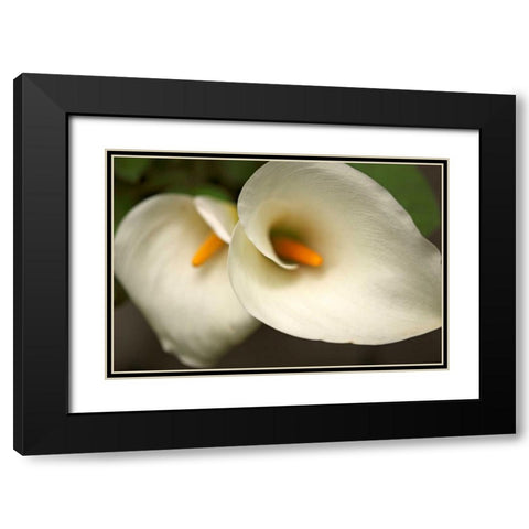 Calla Lilies III Black Modern Wood Framed Art Print with Double Matting by Crane, Rita