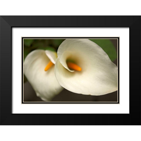 Calla Lilies III Black Modern Wood Framed Art Print with Double Matting by Crane, Rita
