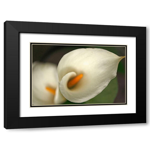 Calla Lilies V Black Modern Wood Framed Art Print with Double Matting by Crane, Rita