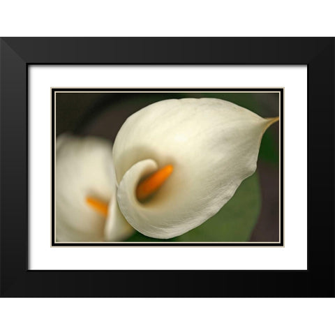 Calla Lilies V Black Modern Wood Framed Art Print with Double Matting by Crane, Rita