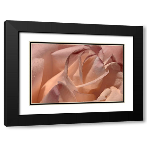 Heart of a Rose X Black Modern Wood Framed Art Print with Double Matting by Crane, Rita