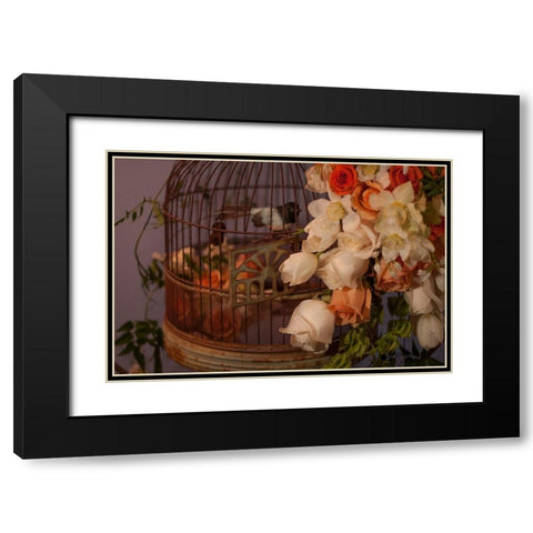 Flowers and Bird Cage II Black Modern Wood Framed Art Print with Double Matting by Crane, Rita