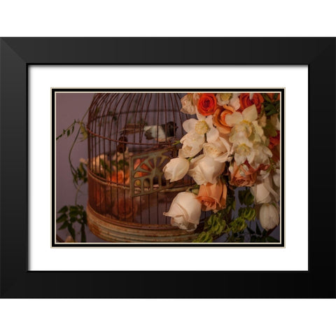 Flowers and Bird Cage II Black Modern Wood Framed Art Print with Double Matting by Crane, Rita