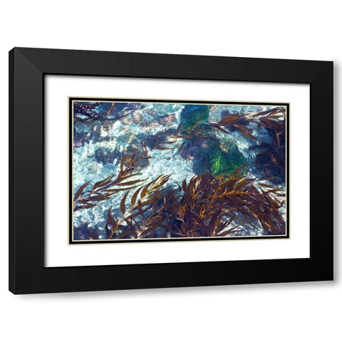 Mermaid Tresses I Black Modern Wood Framed Art Print with Double Matting by Crane, Rita