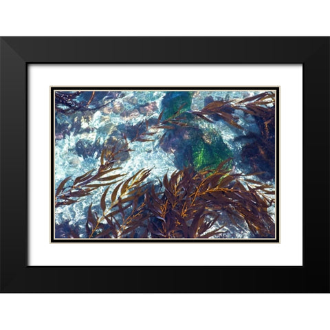 Mermaid Tresses I Black Modern Wood Framed Art Print with Double Matting by Crane, Rita