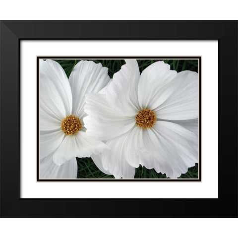 Cosmo Trail II Black Modern Wood Framed Art Print with Double Matting by Christensen, Jim