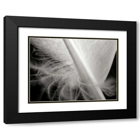 Feather I Black Modern Wood Framed Art Print with Double Matting by Christensen, Jim
