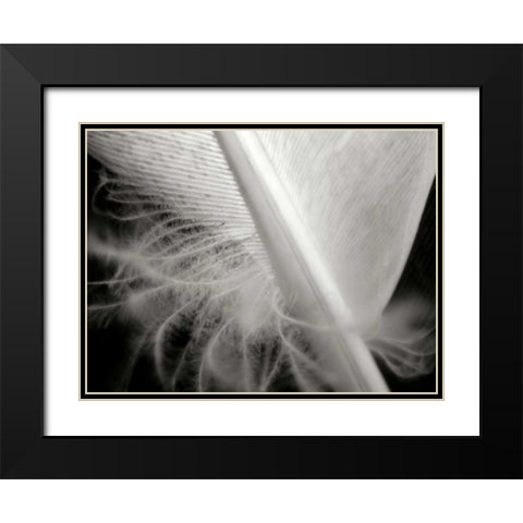 Feather I Black Modern Wood Framed Art Print with Double Matting by Christensen, Jim