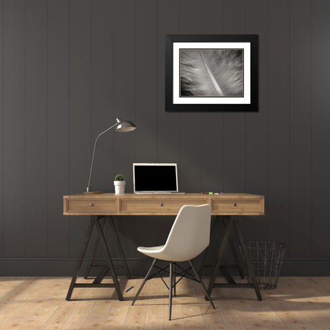 Feather II Black Modern Wood Framed Art Print with Double Matting by Christensen, Jim