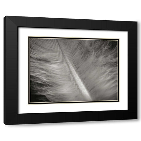 Feather II Black Modern Wood Framed Art Print with Double Matting by Christensen, Jim