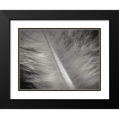 Feather II Black Modern Wood Framed Art Print with Double Matting by Christensen, Jim