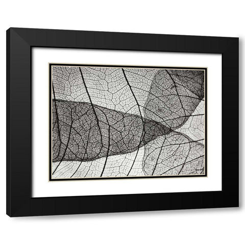 Leaf Designs II BW Black Modern Wood Framed Art Print with Double Matting by Christensen, Jim