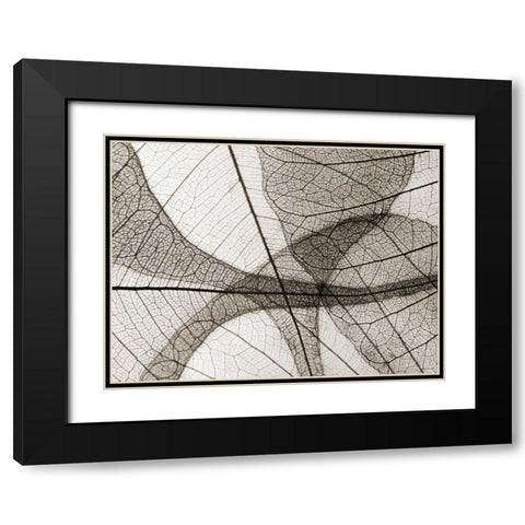 Leaf Designs I Sepia Black Modern Wood Framed Art Print with Double Matting by Christensen, Jim