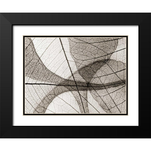 Leaf Designs I Sepia Black Modern Wood Framed Art Print with Double Matting by Christensen, Jim