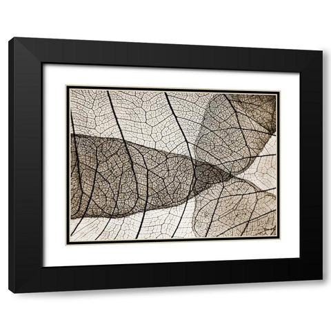 Leaf Designs II Sepia Black Modern Wood Framed Art Print with Double Matting by Christensen, Jim