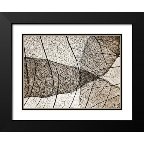 Leaf Designs II Sepia Black Modern Wood Framed Art Print with Double Matting by Christensen, Jim