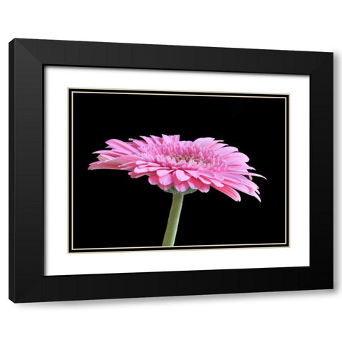 Gerber Angle III Black Modern Wood Framed Art Print with Double Matting by Christensen, Jim