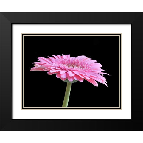 Gerber Angle III Black Modern Wood Framed Art Print with Double Matting by Christensen, Jim