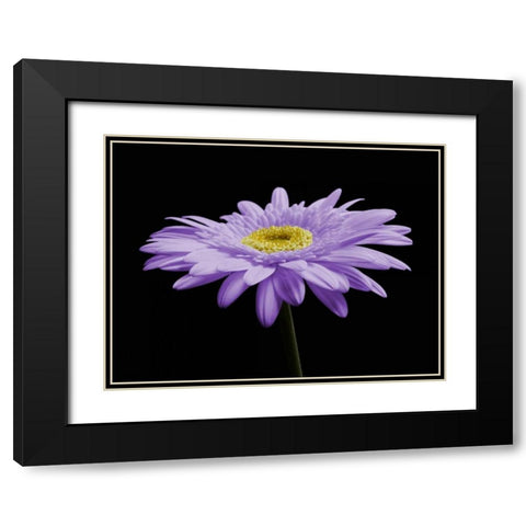 Gerber Angle IV Black Modern Wood Framed Art Print with Double Matting by Christensen, Jim