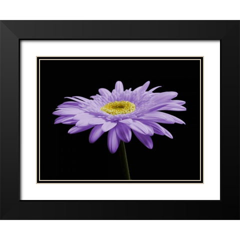 Gerber Angle IV Black Modern Wood Framed Art Print with Double Matting by Christensen, Jim