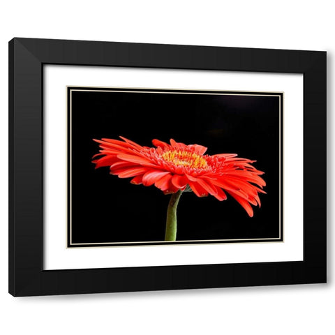 Gerber Angle V Black Modern Wood Framed Art Print with Double Matting by Christensen, Jim