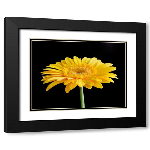 Gerber Angle VI Black Modern Wood Framed Art Print with Double Matting by Christensen, Jim
