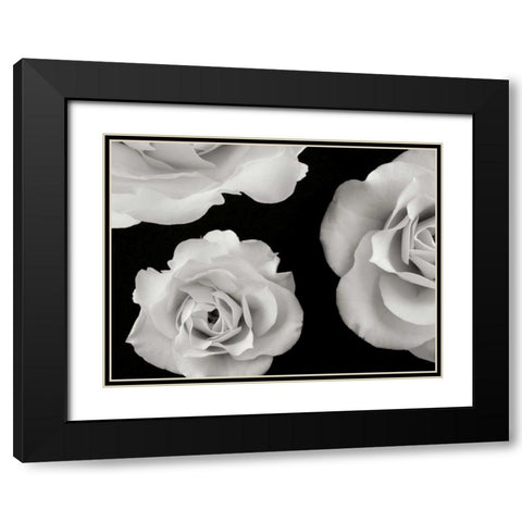 Trio II Black Modern Wood Framed Art Print with Double Matting by Christensen, Jim