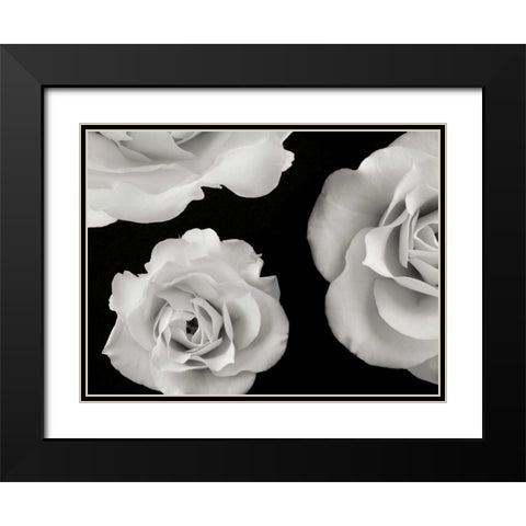 Trio II Black Modern Wood Framed Art Print with Double Matting by Christensen, Jim
